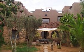 Le Petit Yucca
